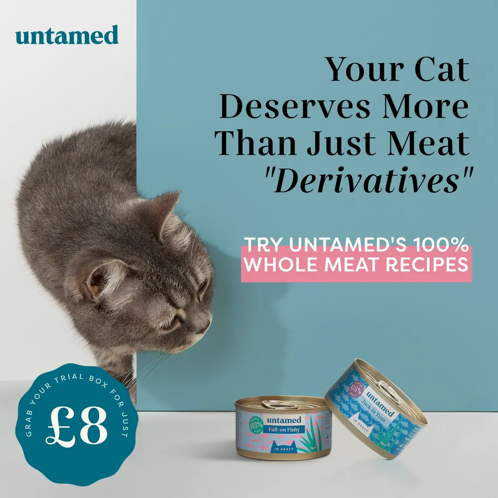 Untamed Statics ad by Fraggell